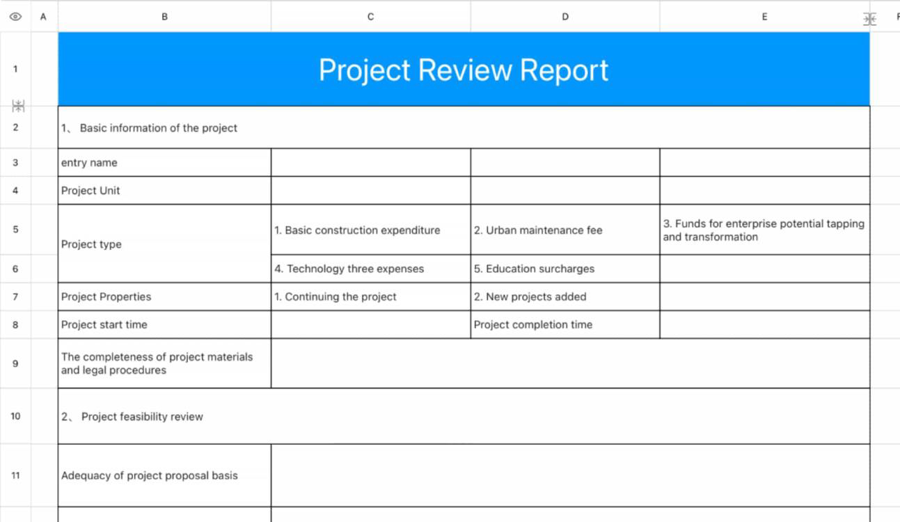 Project review report